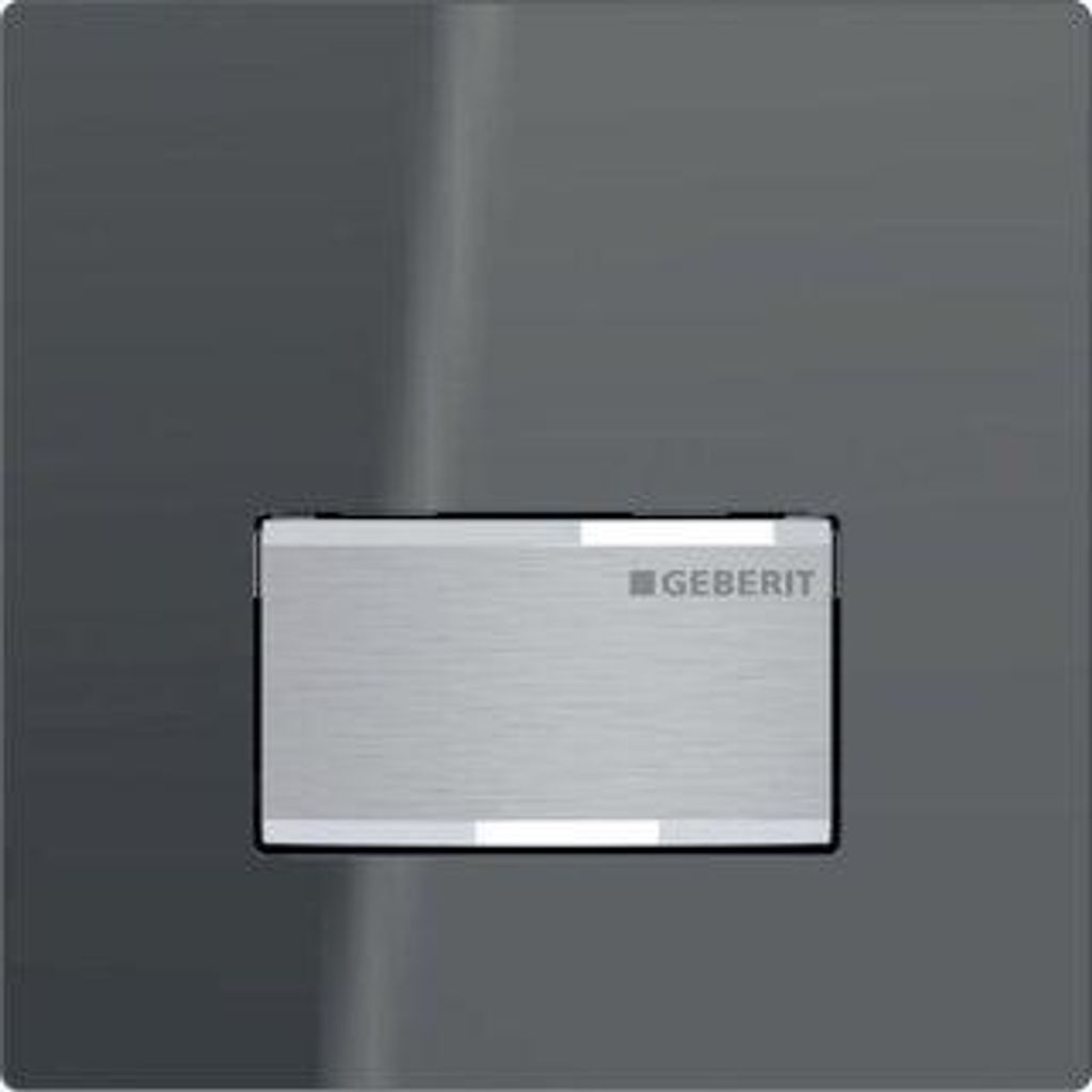 Geberit 242764JK1 Typ 50 Bet.Pl. für UR-Strg. (ab 2013)
