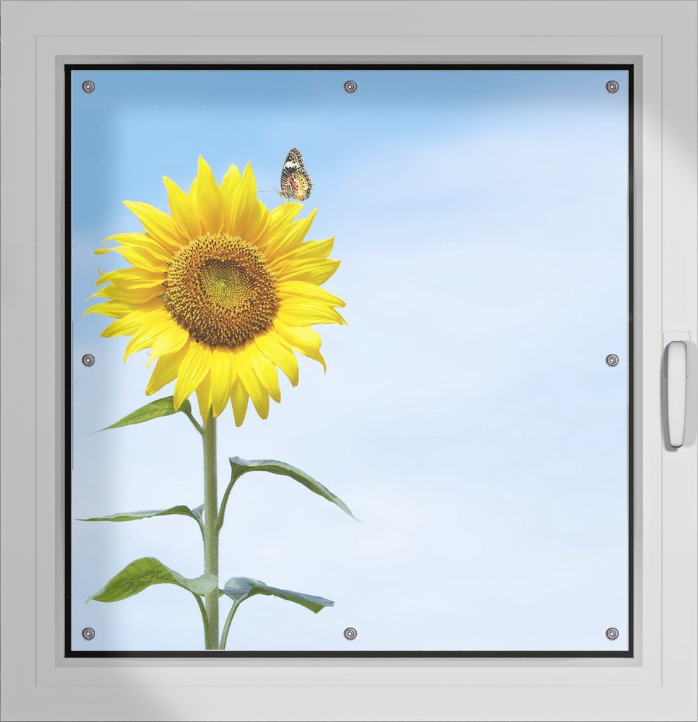 Wallario Lichtschutzbild, Dekorativer Sichtschutz Sonnenschutz 96 x 93 cm mit Motiv: Sonnenblume mit Schmetterling - Verdunklung ohne Bohren