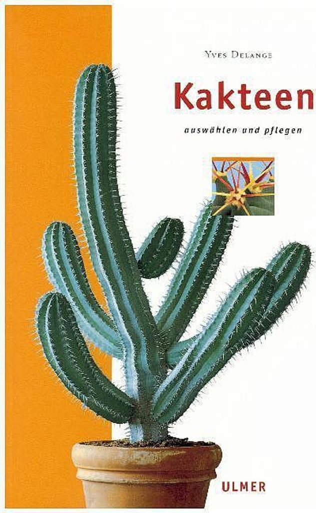 Delange, Y: Kakteen Produktbild 