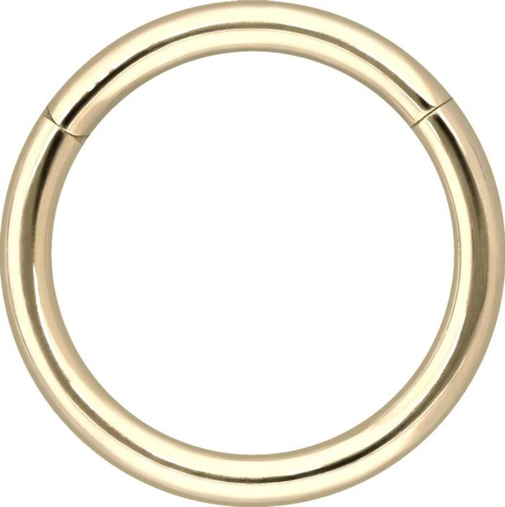 Ohrpiercing, Nasenpiercing, Septum Piercing 14/18 Karat Gold Segmentring Clicker 14 Karat | Gold Innendurchmesser: 10mm | Stabstärke: 1,6mm