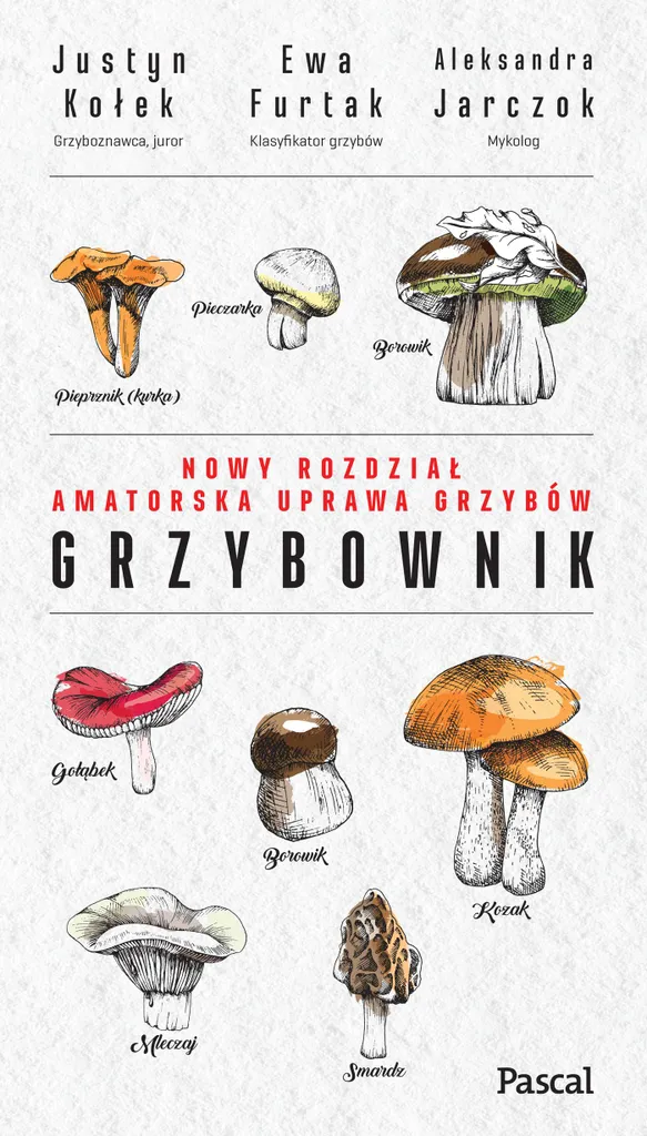 Couteau champignon Grzybownik à lame courbe en acier carbone et brosse intégrée
