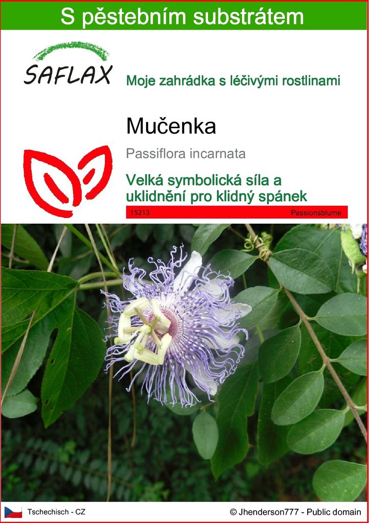 SAFLAX  - mučenka - Passiflora incarnata - 5 Samen - S Obrázek produktu 
