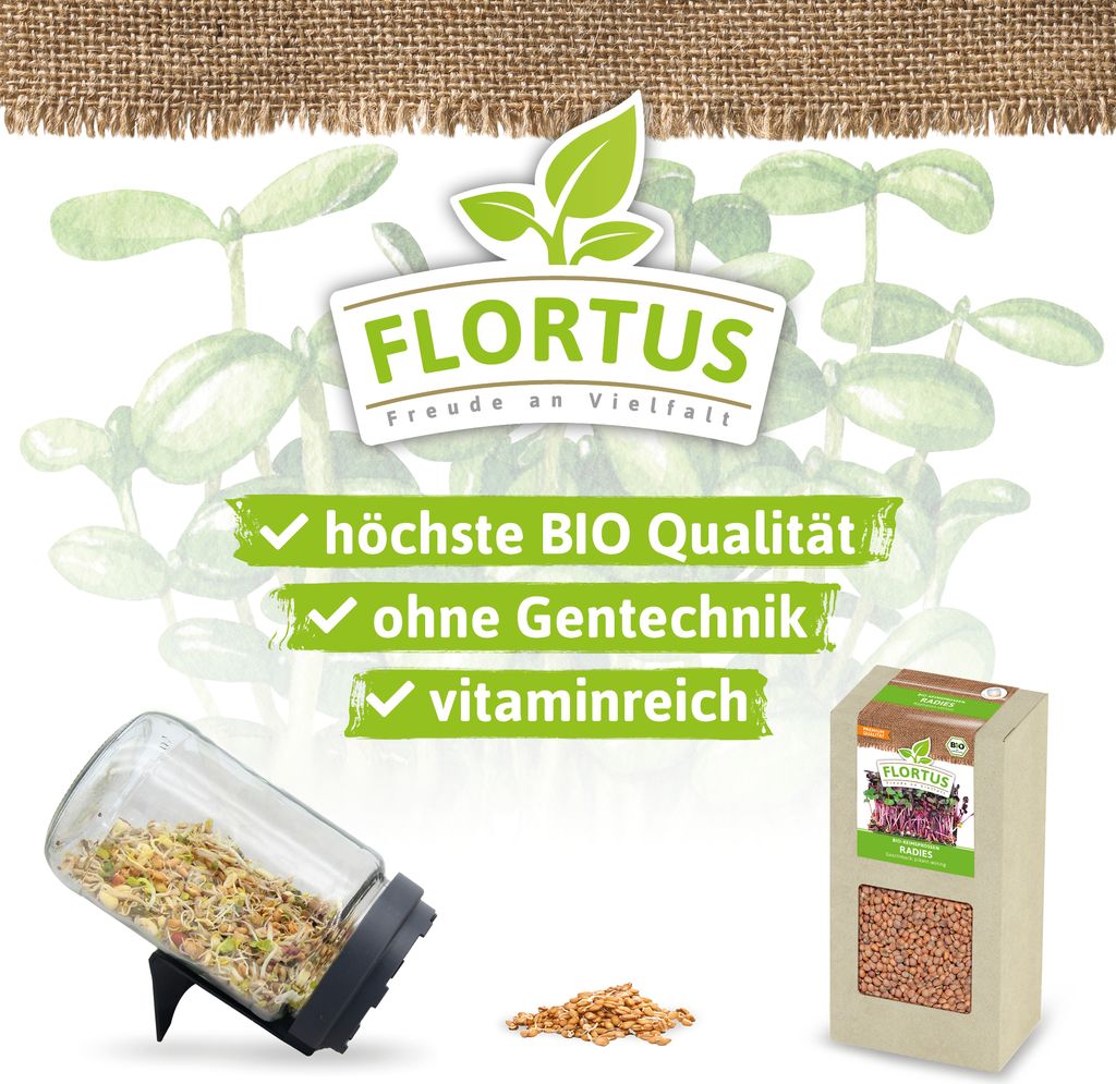 Keimsprossen Radies (200 g) |Keimsprossen von FLORTUS Produktbild 4