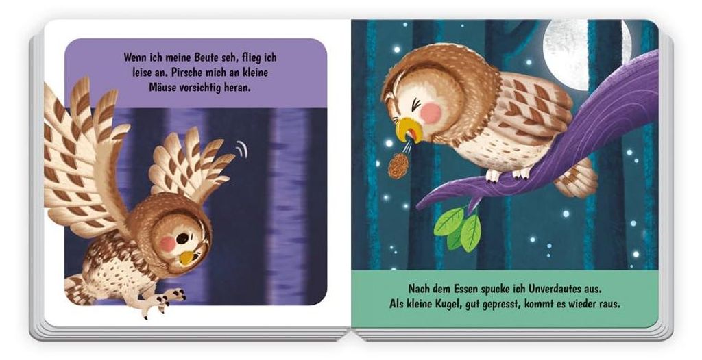 Trötsch Pappenbuch mit Reimen Ich bin die kleine Eule: Beschäftigungsbuch Kinderbuch Geschichtenbuch