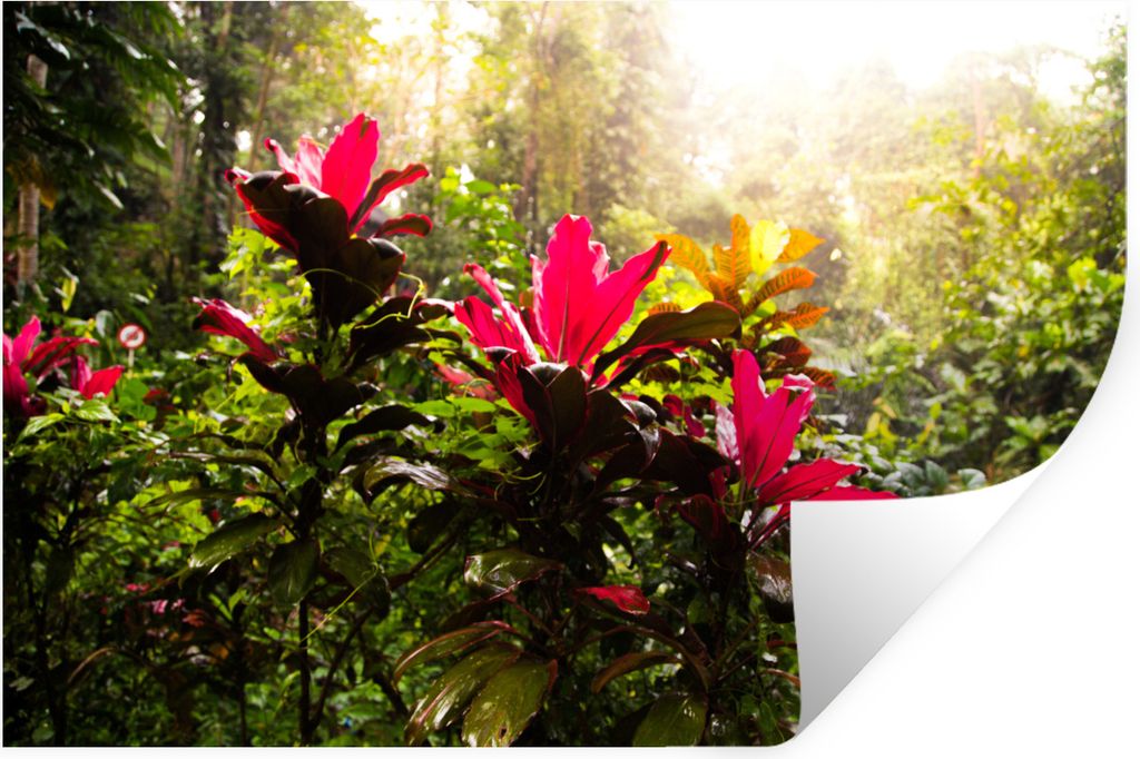 MuchoWow Wandtattoo Wandsticker Wandaufkleber Schöne Blumen inmitten des Dschungels 30x20 cm Selbstklebend und Repositionierbar - Wierderverwend...