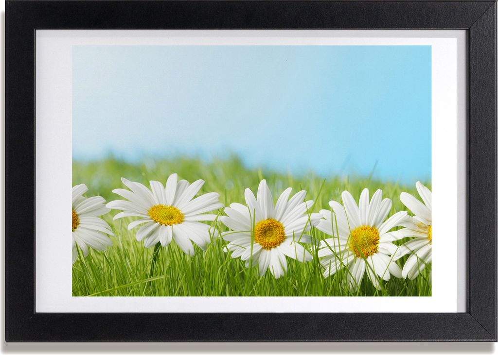 Bild 30x20 MDF-Rahmen, Wandkunst Gänseblümchen