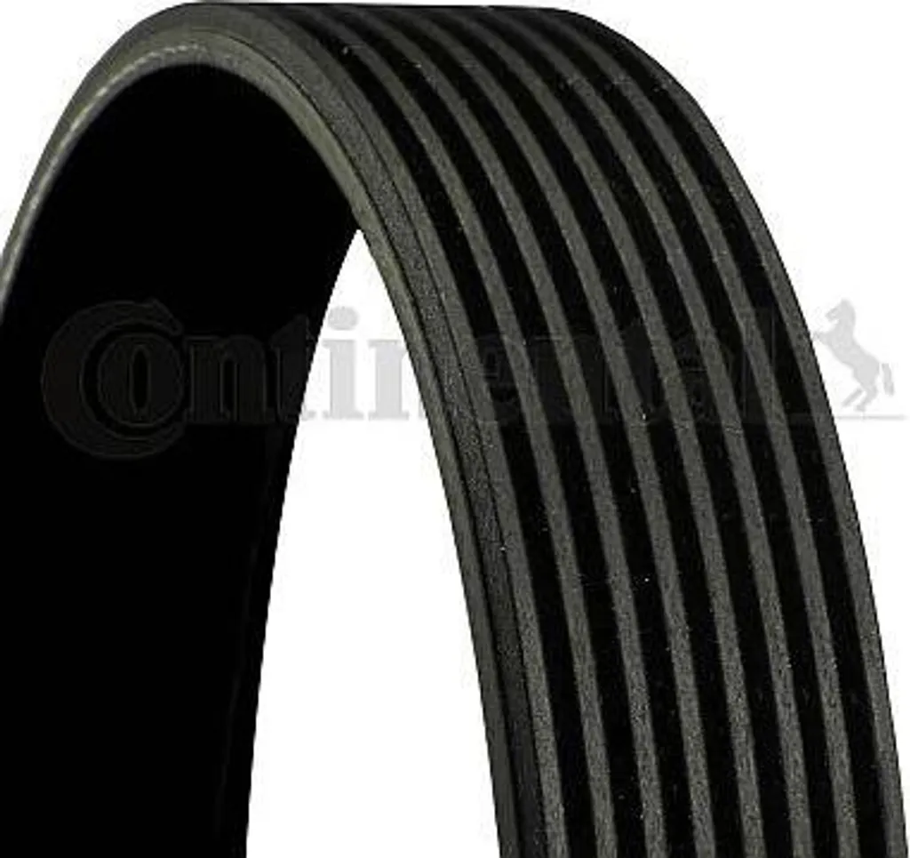 Courroie 8PK1226 Continental : Stop aux Sifflements Moteur Mazda 3 5 6