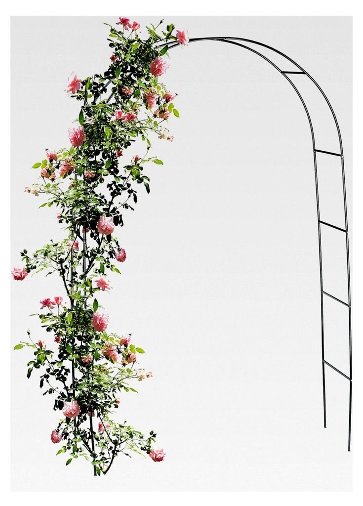 Gartenbogen für Kletterpflanzen und Rosen – 140 x 240 x 37 cm – Gartentor – Rosenbogen aus Metall – für ein märchenhaftes Element im Garten