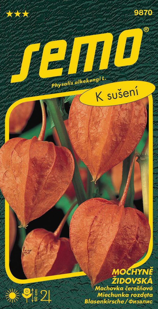 Mochinsamen - Orange (zum Trocknen) 0,2g