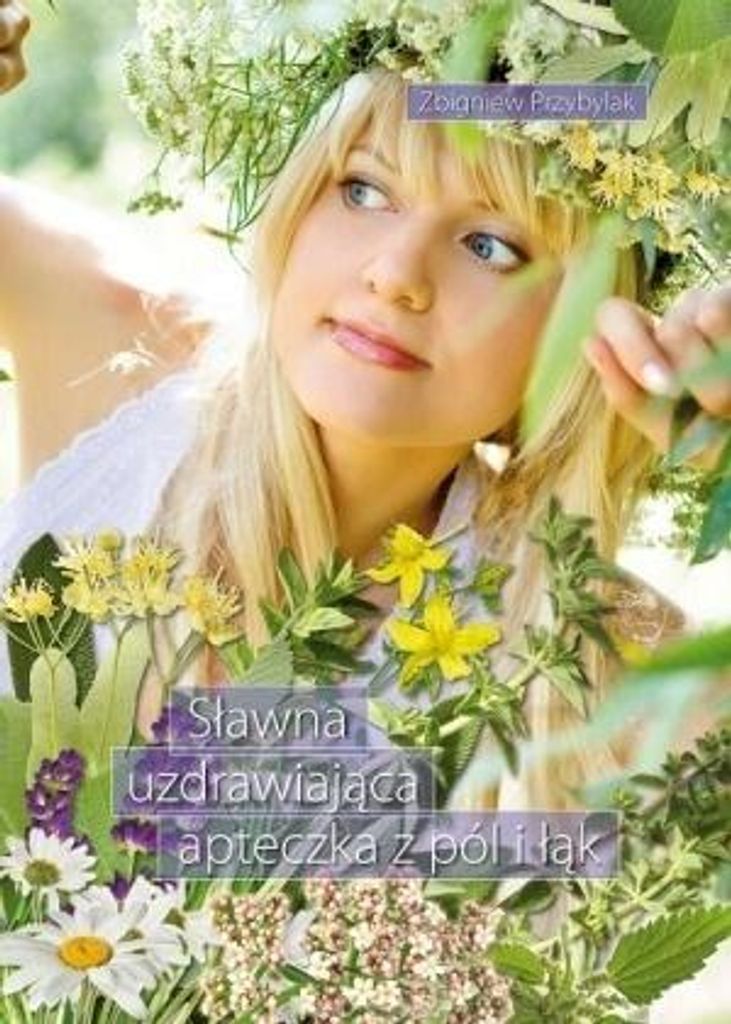 Sławna uzdrawiająca apteczka z pól i łąk - Zbigniew Przybylak (Ratgeber auf Polnisch)