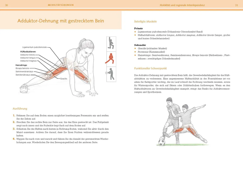 Functional Training Anatomie : Éviter les Blessures et Muscler Juste - 4