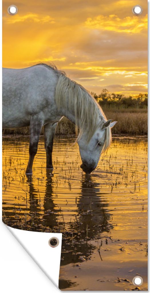 MuchoWow 30x60 cm Outdoor-Poster Gartendeko Sichtschutz Garten Poster für den Garten Pferde trinken bei Sonnenuntergang in der Camargue
