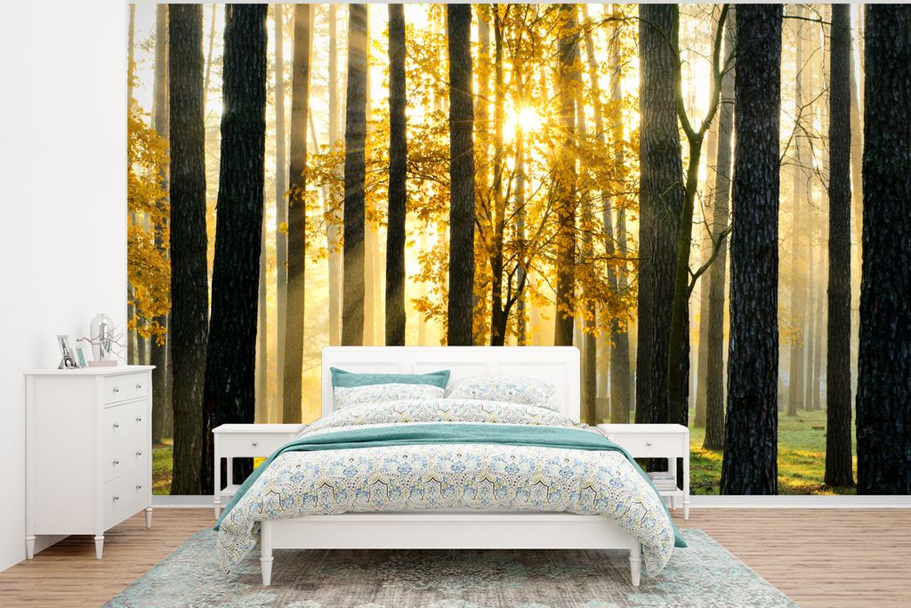 MuchoWow Fototapete für Wohnzimmer oder Schlafzimmer Wandtapete Vinyl Motivtapete Wald - Sonne - Bäume - Gras - Landschaft - Natur - 320x240 cm...