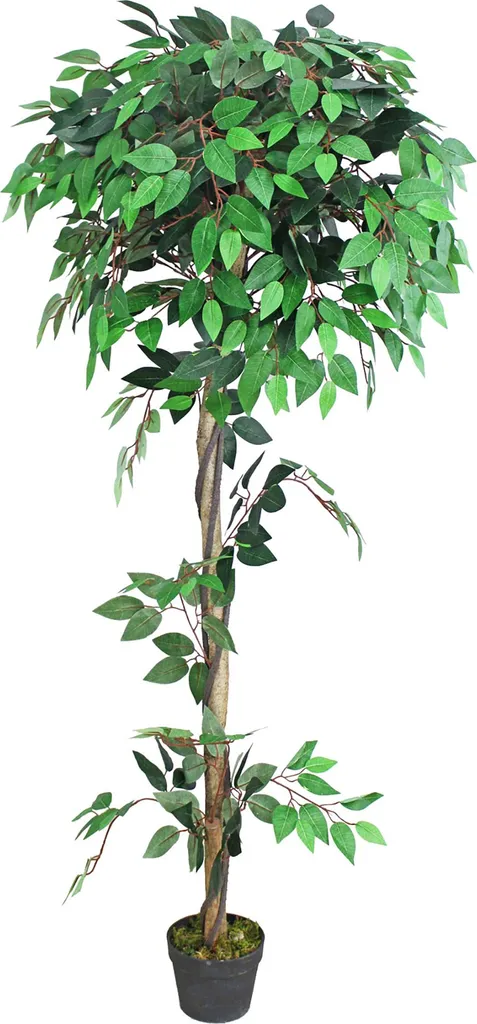 Pianta Ufficio 160cm: Ficus Benjamin Artificiale Professionale Decovego