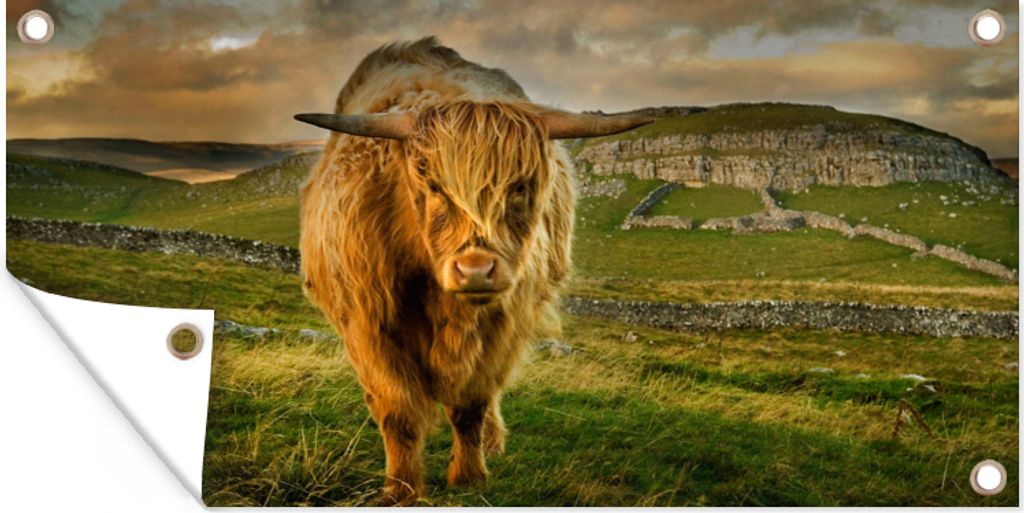 MuchoWow 80x40 cm Outdoor-Poster Gartendeko Sichtschutz Garten Poster für den Garten Schottischer Highlander - Gras - Berg