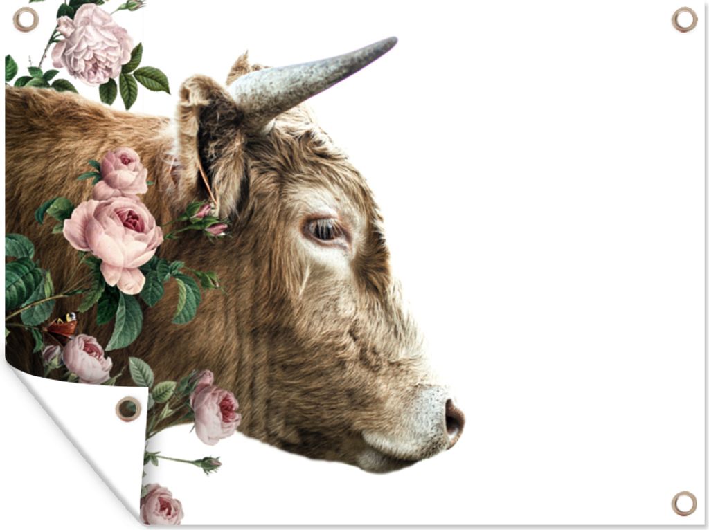 MuchoWow 120x90 cm Outdoor-Poster Gartendeko Sichtschutz Garten Poster für den Garten Schottischer Highlander - Blumen - Rosa - Weiß