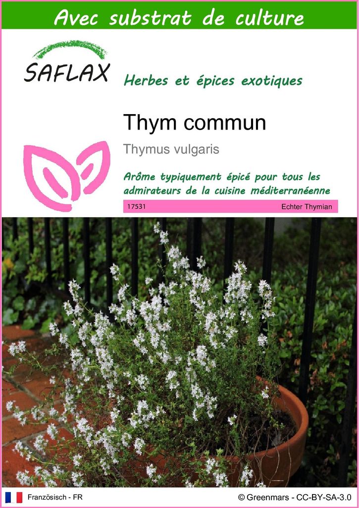 SAFLAX  - Thym commun - 200 graines - Avec substrat - Image du produit 
