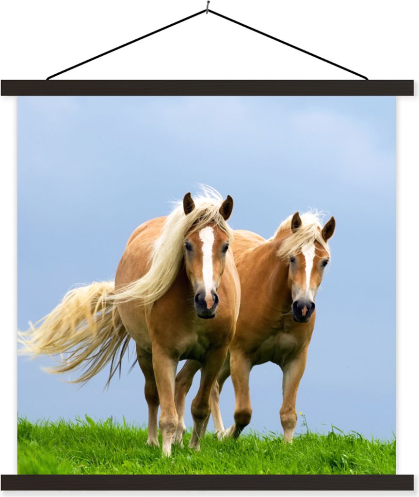 MuchoWow Textilposter Pferde - Gras - Luft 120x120 cm mit schwarzem Rahmen - Aufhängungsset