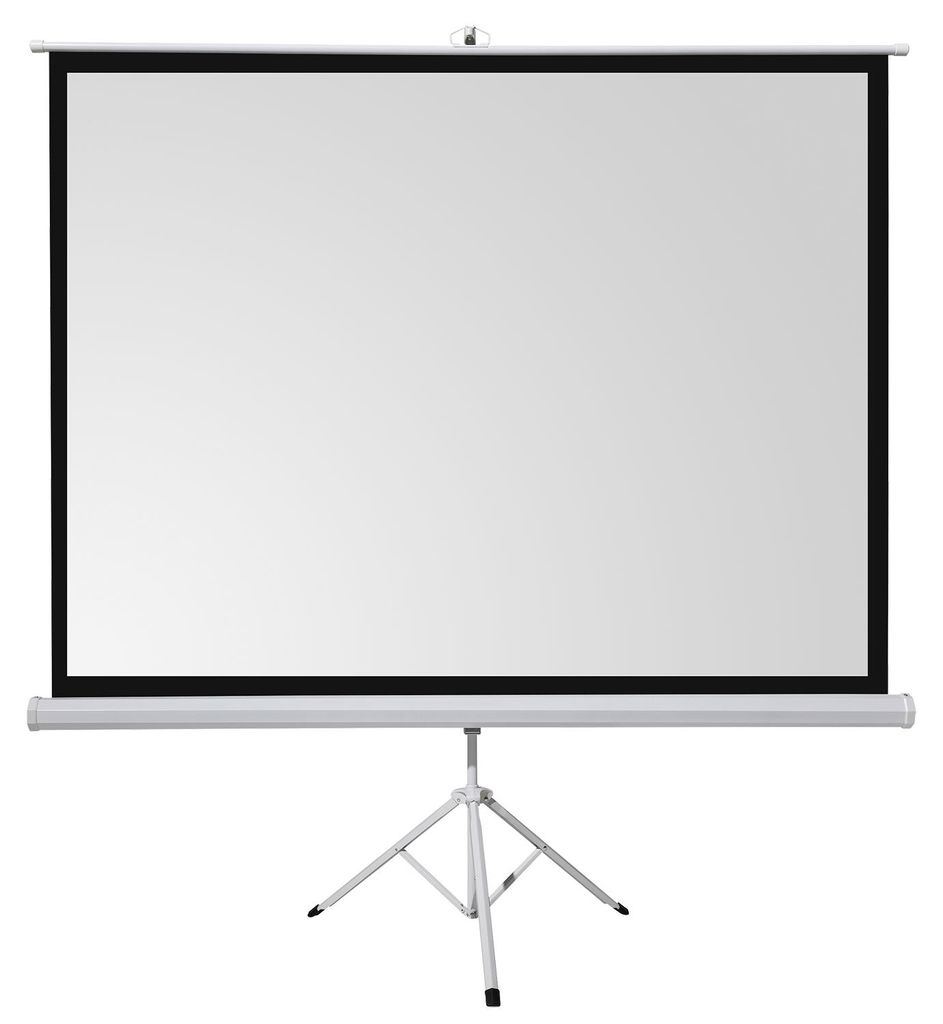 celexon basic Stativ-Leinwand 110" | 200x200 cm 1:1 | Produktbild 