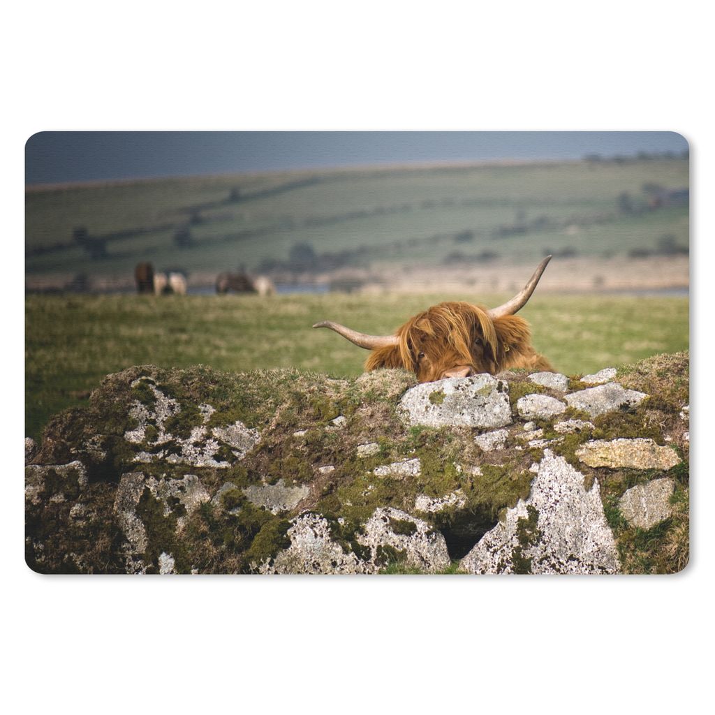 MuchoWow Schreibtischunterlage Schottische Highlander - Steine - Gras 60x40 cm - XXL Mauspad - Großes Mauspad