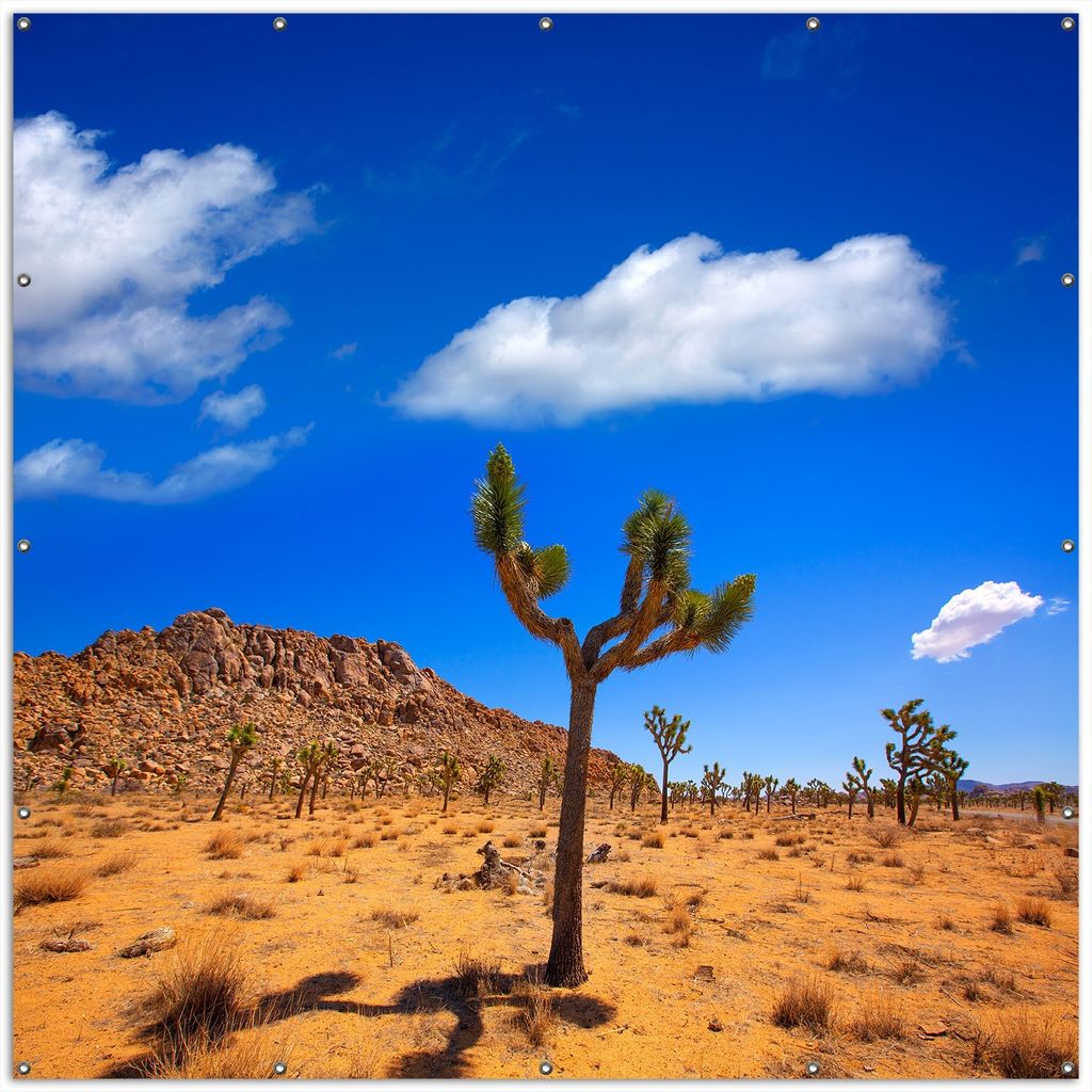 Wallario XXL Outdoor-Poster für Garten oder Balkon, Motiv Palmlilie im Nationalpark Yucca Valley Wüstenlandschaft, in ca. 200 x 200 cm