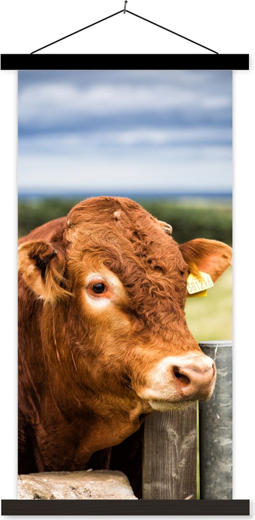 MuchoWow Textilposter Schottisches Hochlandrind - Berg - Zaun 90x180 cm mit schwarzem Rahmen - Dekoration Wohnzimmer