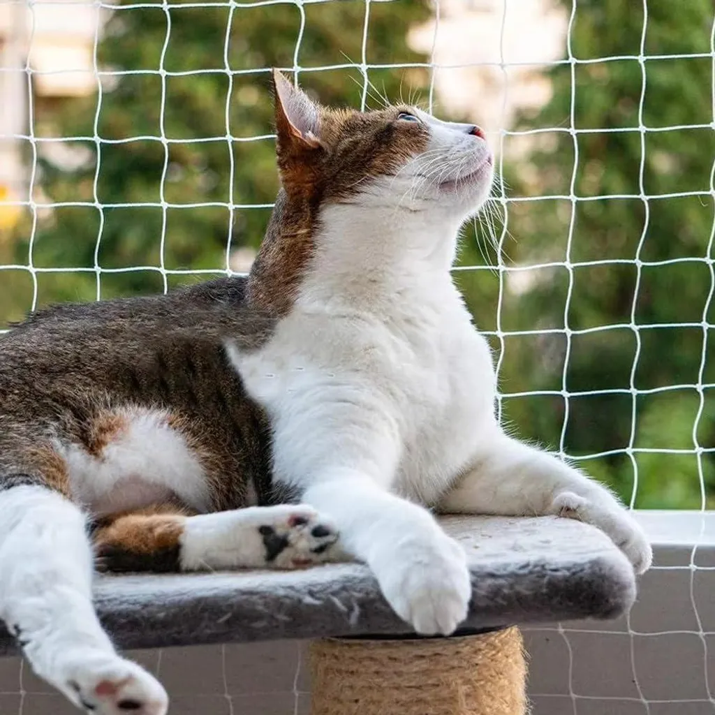 Filet chat sur mesure pour sécuriser les fenêtres sans danger