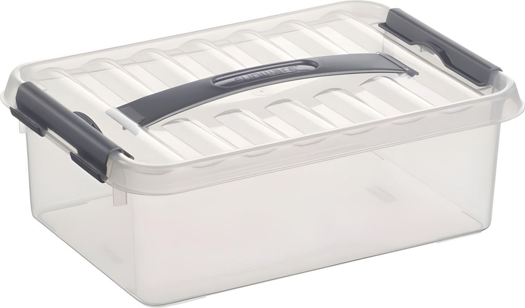 Sunware Aufbewahrungsbox H6160002 4l 300x200x100mm Produktbild 