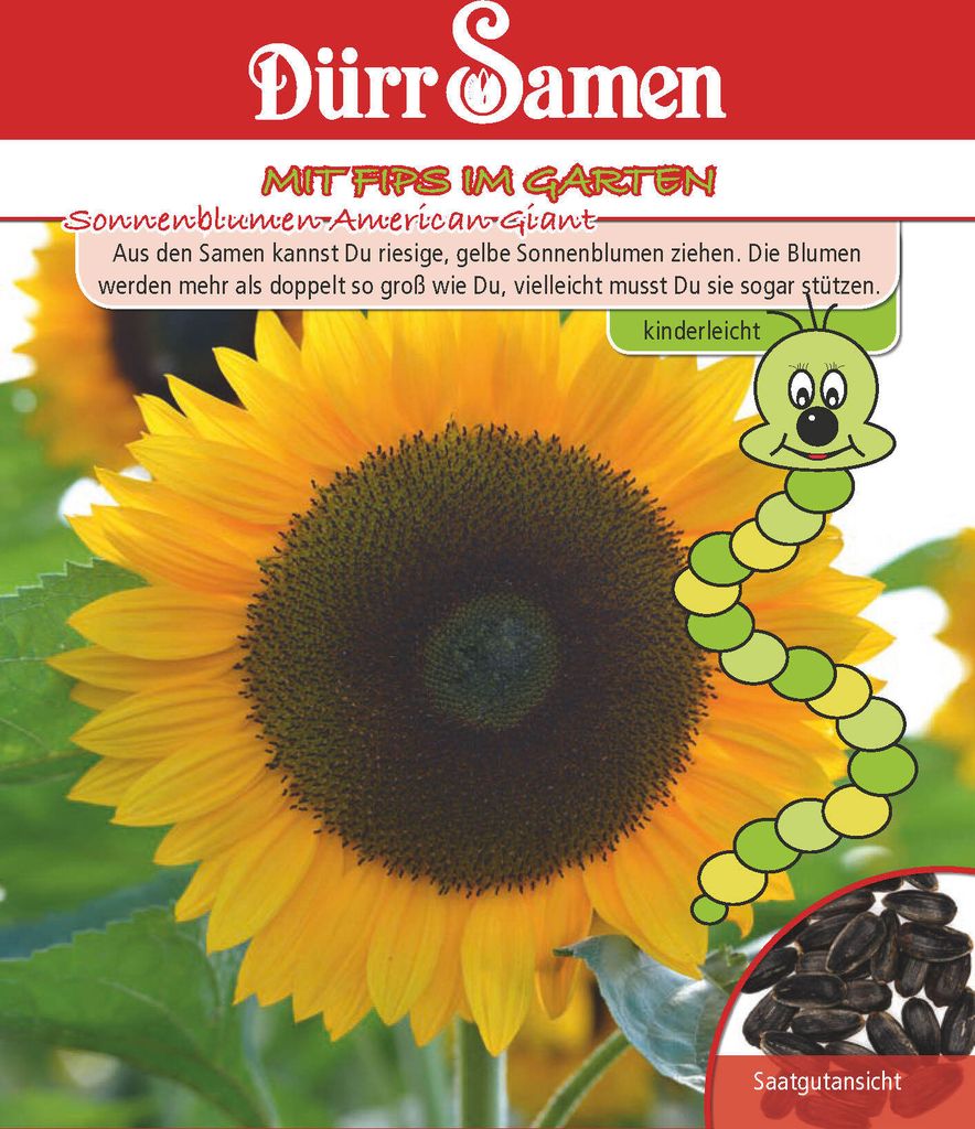 Dürr-Samen - Kindersorte Sonnenblumen American Giant - Saatgut - 4237