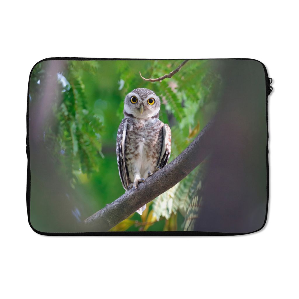MuchoWow Laptop Hülle 13 Zoll Eule auf Ast sitzend Laptoptasche - Laptophülle - Sleeve - Rundumschutz