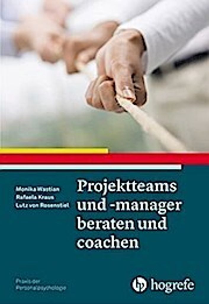 Projektteams und -manager beraten und coachen