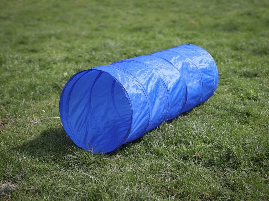 Agility Set für kleine und mittelgroße Hunde, Hundesport Produktbild 2