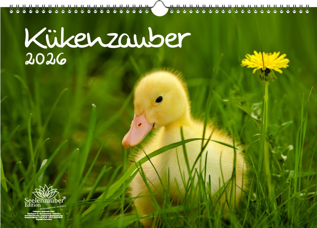 Kükenzauber DIN A3 Kalender für 2026 Küken - Seelenzauber
