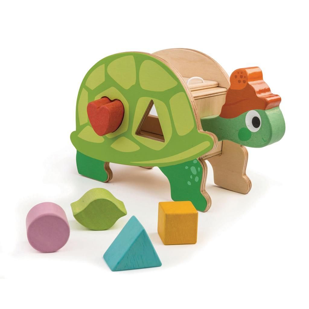 Dosenschildkröte in zarter Blattform