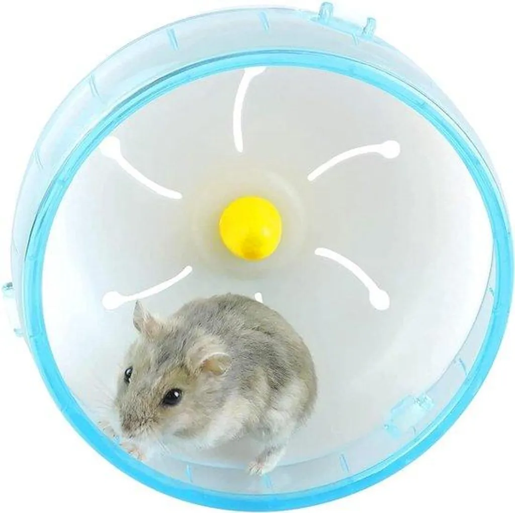 Chariot d'entraînement Hamster Bleu pour stopper l'hyperactivité canine