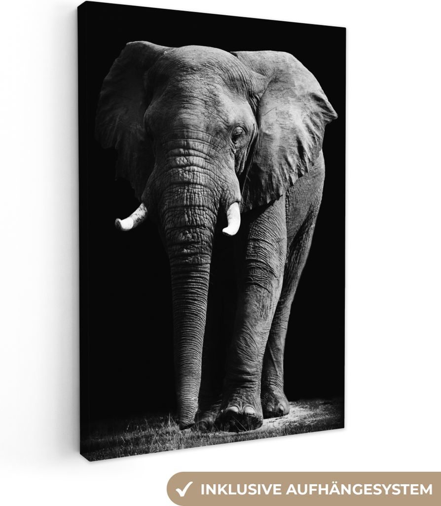 OneMillionCanvasses - Leinwandbilder - 90x140 cm, Elefant - Schwarz - Weiß - Wilde Tiere, Wandbilder Kunstdruck Wanddekoration - Wandschmucke - ...