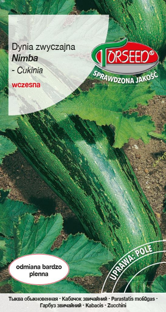 Samen des Gewöhnlichen Kürbisses - Torsaat