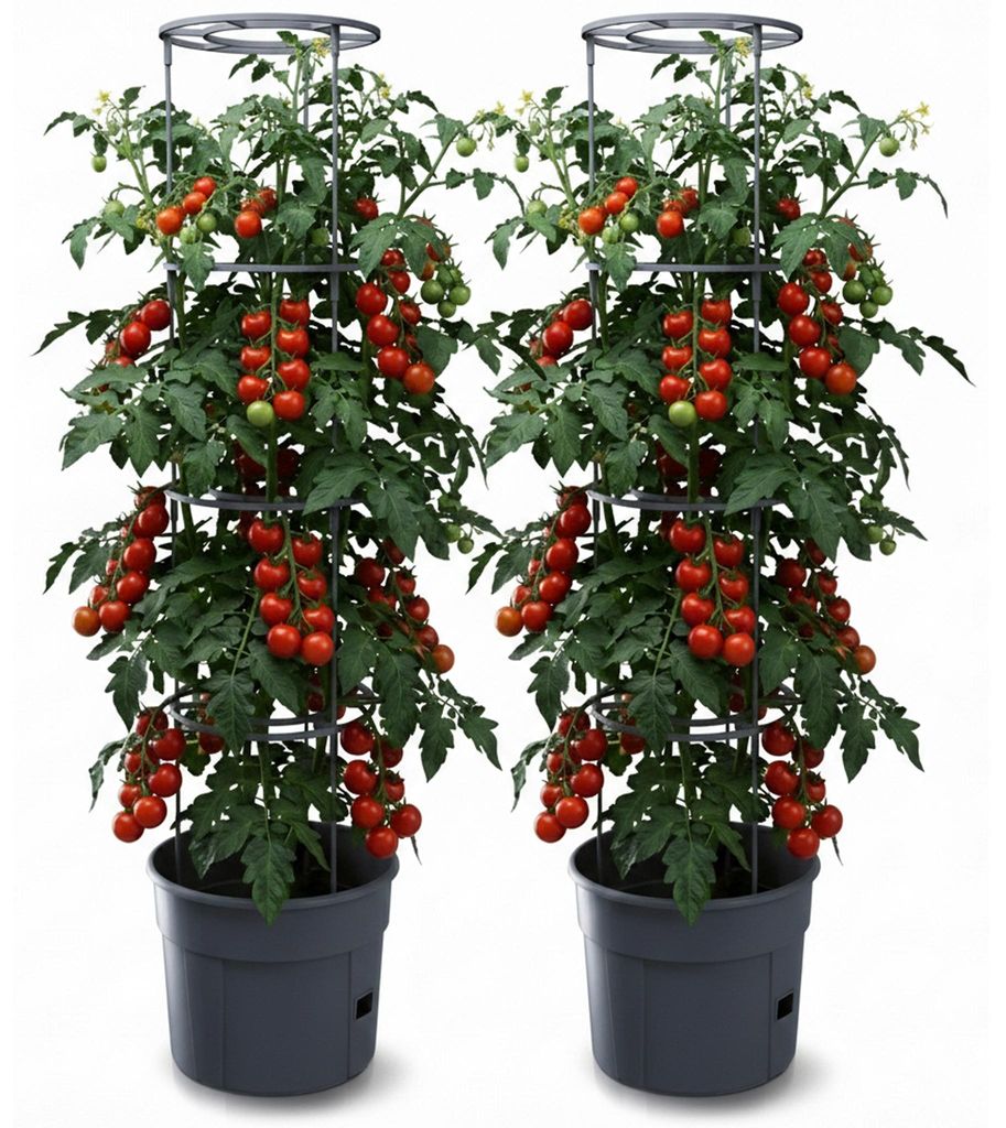 2er Set Anzuchttopf Tomatentopf Rankhilfe für Tomate Gemüse Kunststoff 29,5cm