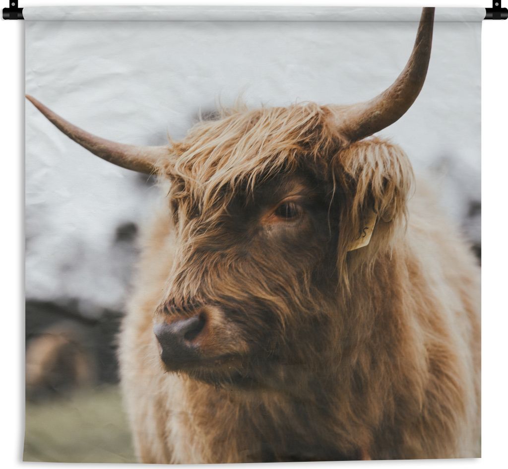 MuchoWow Wandteppich Wandbehang Schottisches Hochlandrind - Tiere - Hörner 120x120 cm Tapisserie Dekoration Wandtuch - Modern - Baumwollgewebe