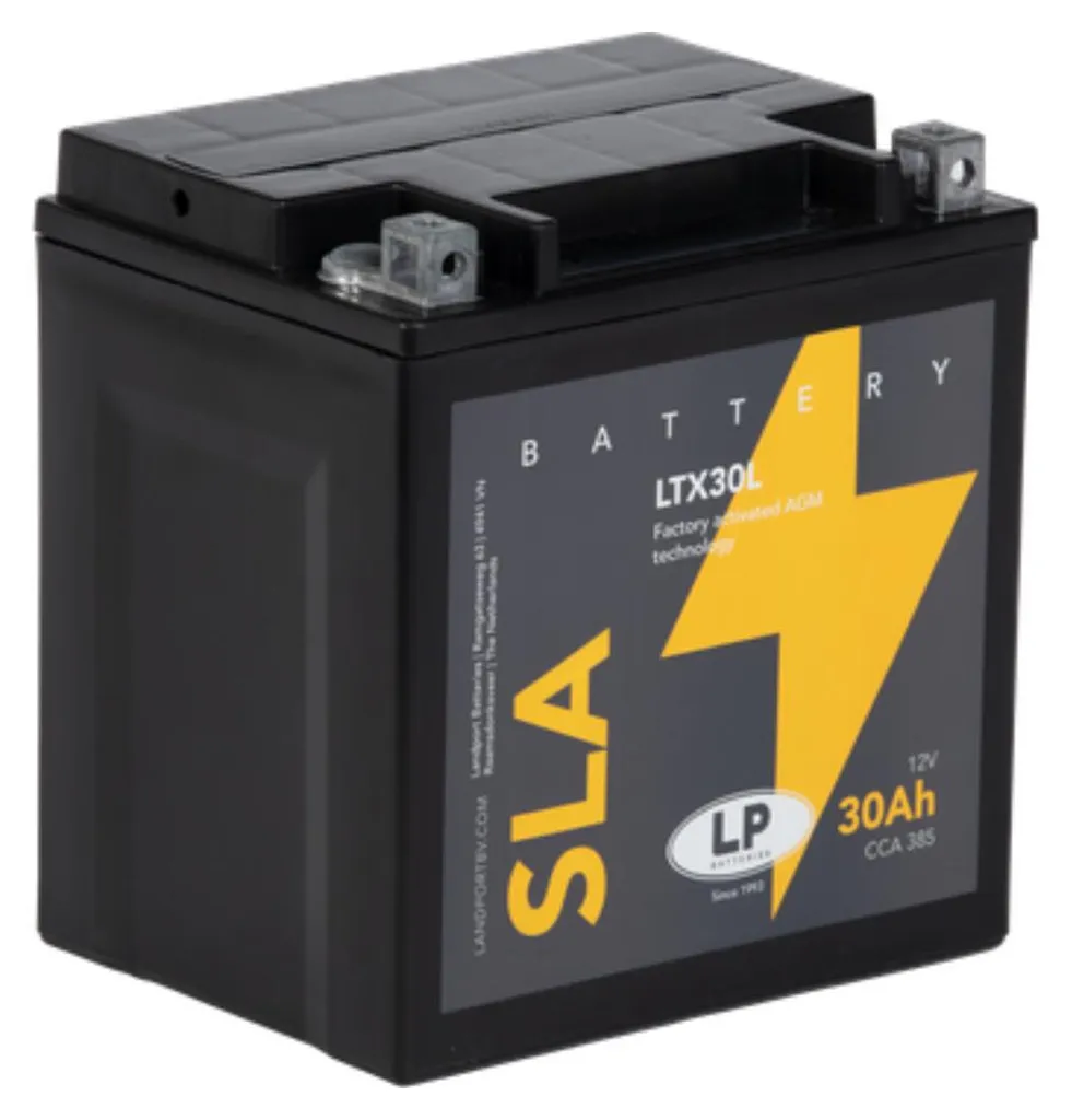 Batterie MS LTX30L 12V 30Ah AGM SLA - Haute Capacité et Forte Résistance Vibrations