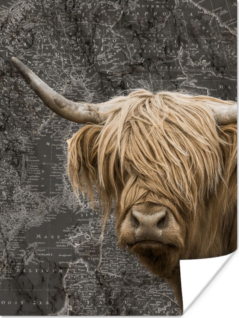 MuchoWow Poster Schottische Highlander - Weltkarte - Tiere 120x160 cm - Wandbilder