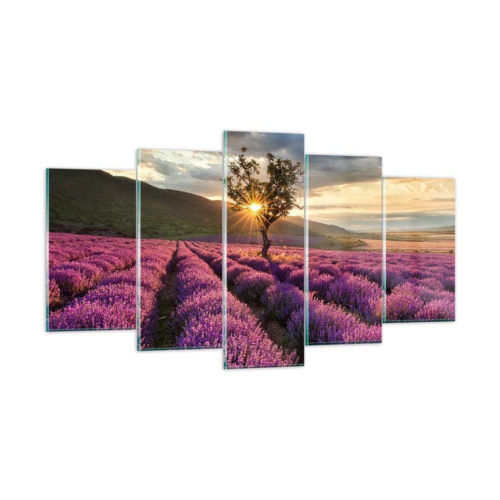 Bilder auf glas - Lavendel Berge Feld - 160x85cm - Glasbilder - Wandbilder - Kunstdruck - zum Aufhängen bereit - Wanddekoration aus Glas - Glas Bi...