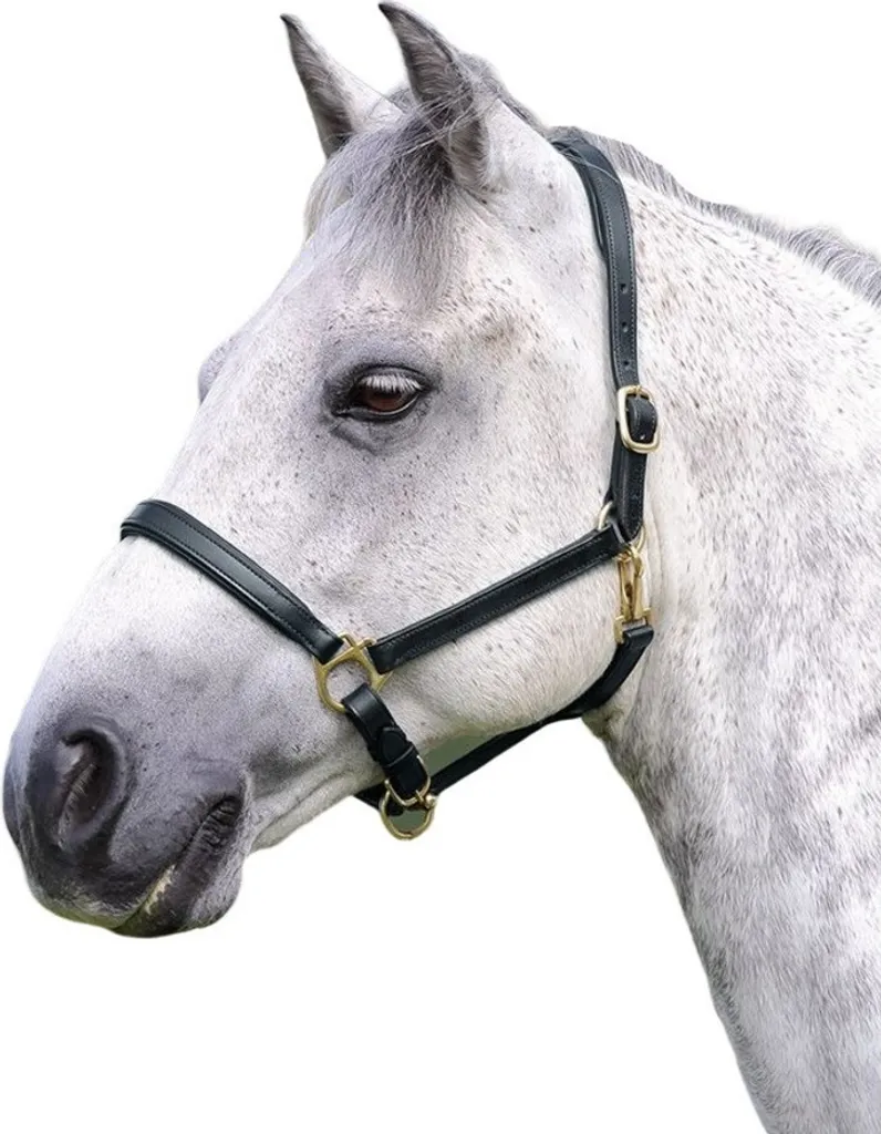Licol Blenheim Ragley ER899 en Cuir Noir pour Cheval Taille X Full