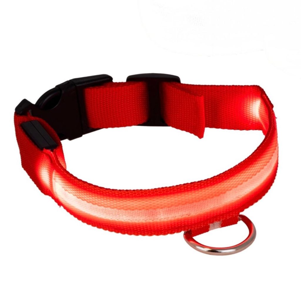 LED Hunde Halsband USB wiederaufladbar 35–43 cm verstellbar Leuchthalsband für Hunde Leuchtendes Hundehalsband mit Akku Rot