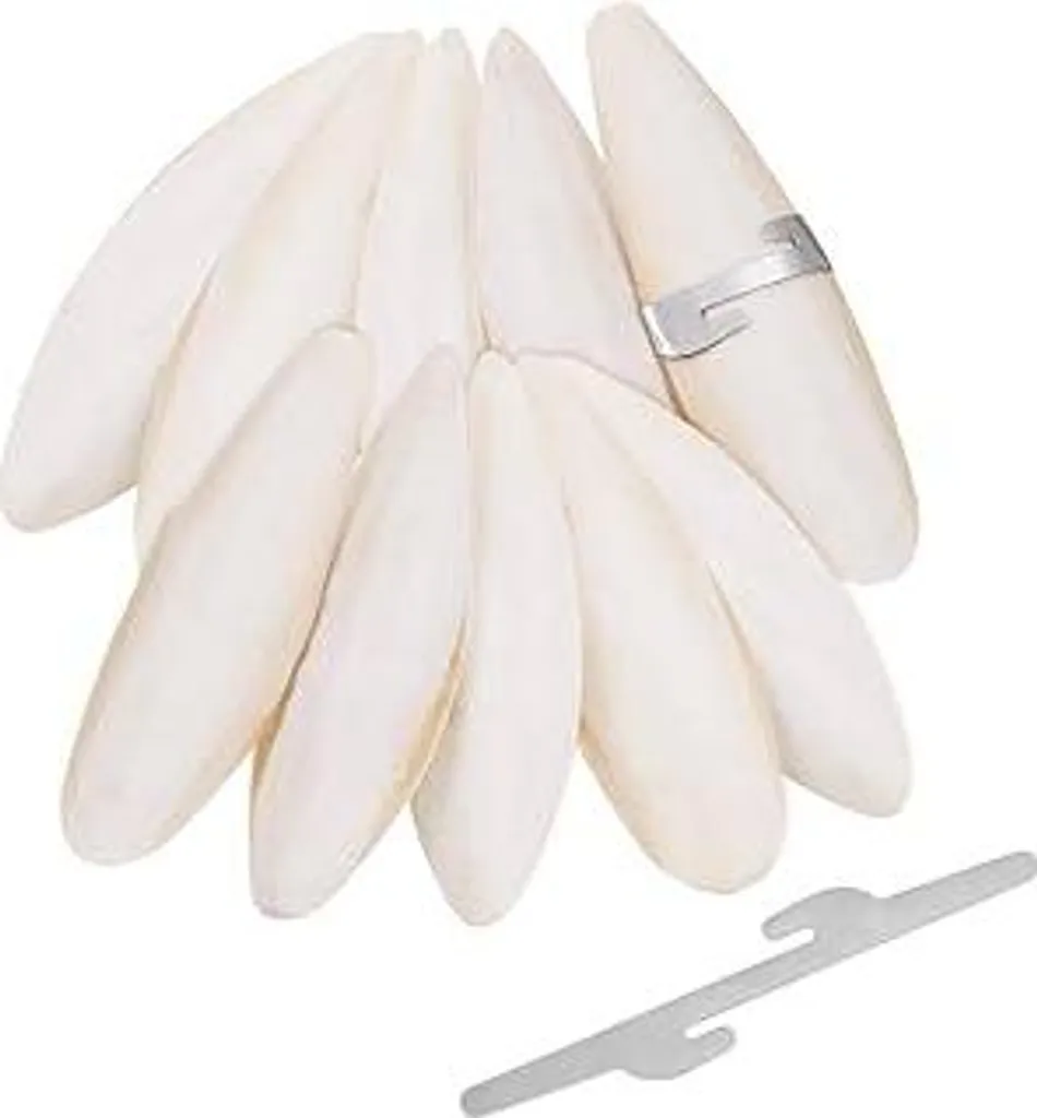 10 Ossi di Seppia Naturali per Tartarughe e Uccelli - Calcio 7-12cm