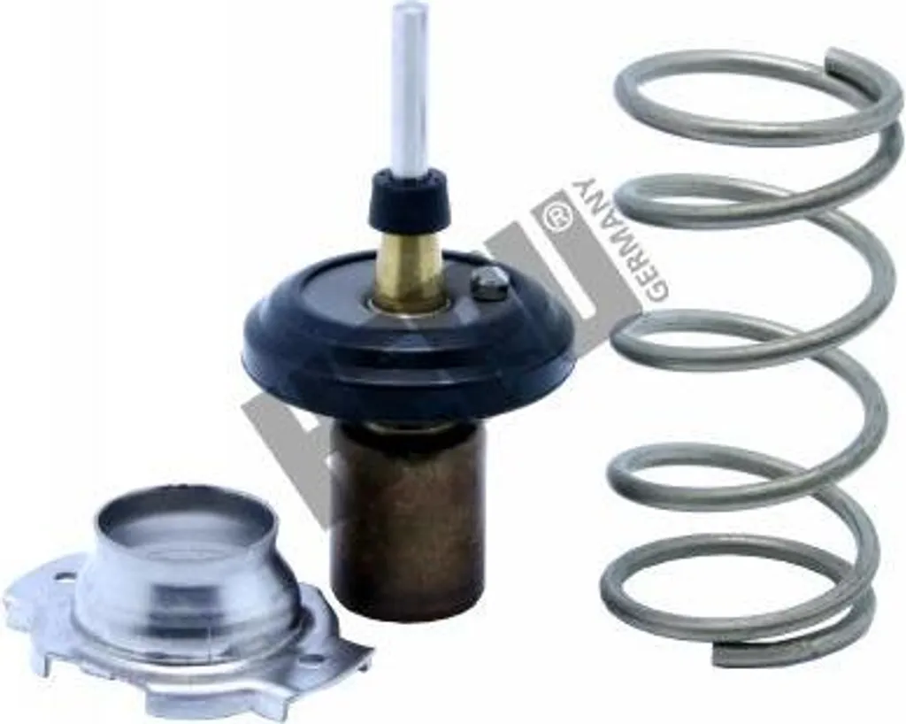 Kit Pistone Cilindro 43mm per Gruppo Pistone Cilindro Motosega Zenoah Kit Pistone Cilindro 43mm per Gruppo Pistone Cilindro Motosega Zenoah