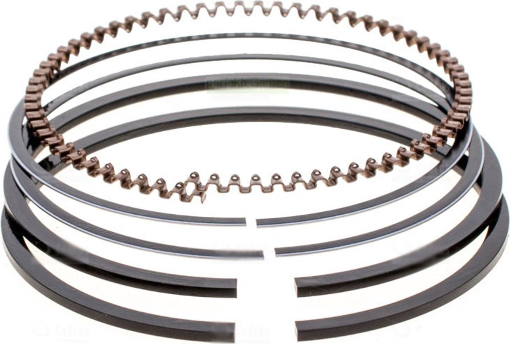 Fasce elastiche per Briggs & Stratton 3,5-4 hp SPRINT 9D Immagine del prodotto 