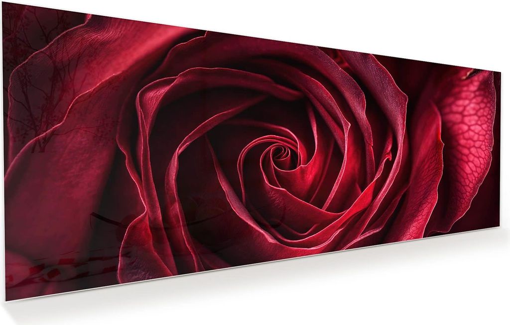 Glasbild 100x40cm in XXL für Wohnzimmer, Schlafzimmer Motiv Rose Makroaufnahme