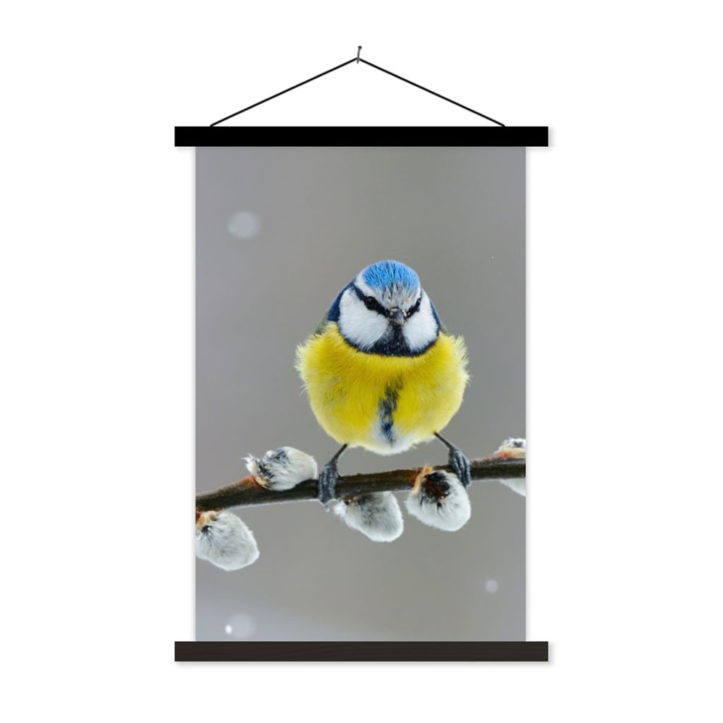 MuchoWow Textilposter Blaumeise - Vogel - Zweig - Gelb - Blau 120x180 cm mit schwarzem Rahmen - Fotos