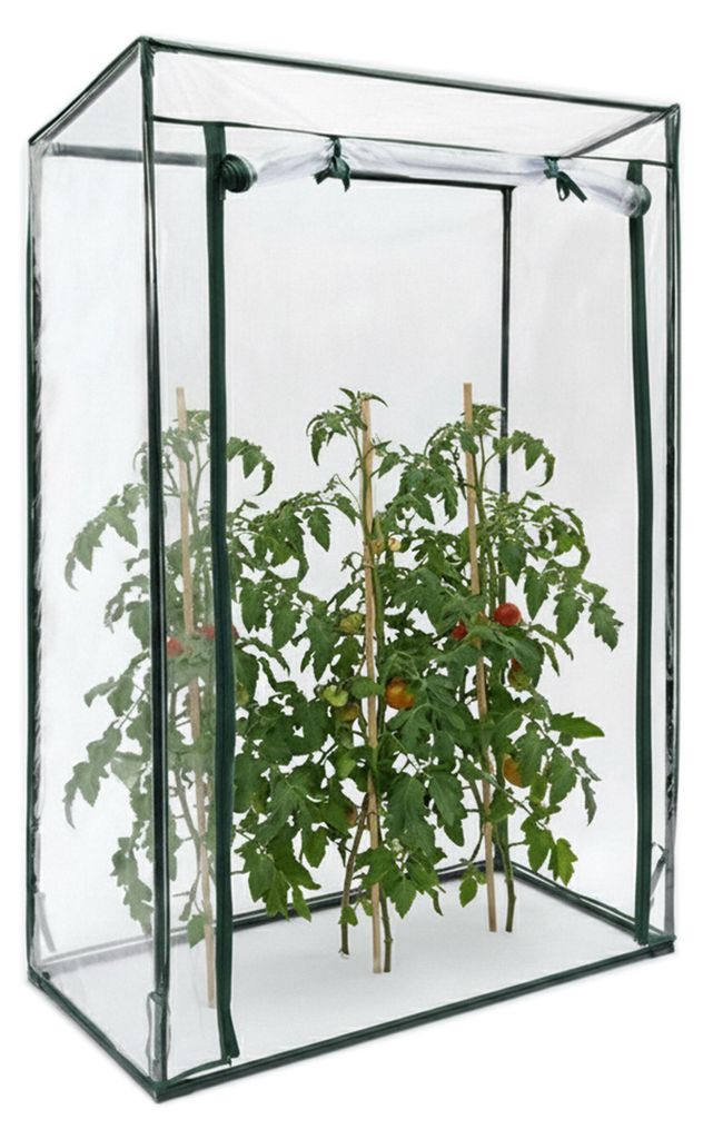 Relaxdays Gewächshaus für Tomaten 150 x 100 x 50 cm HxBxT, Produktbild 